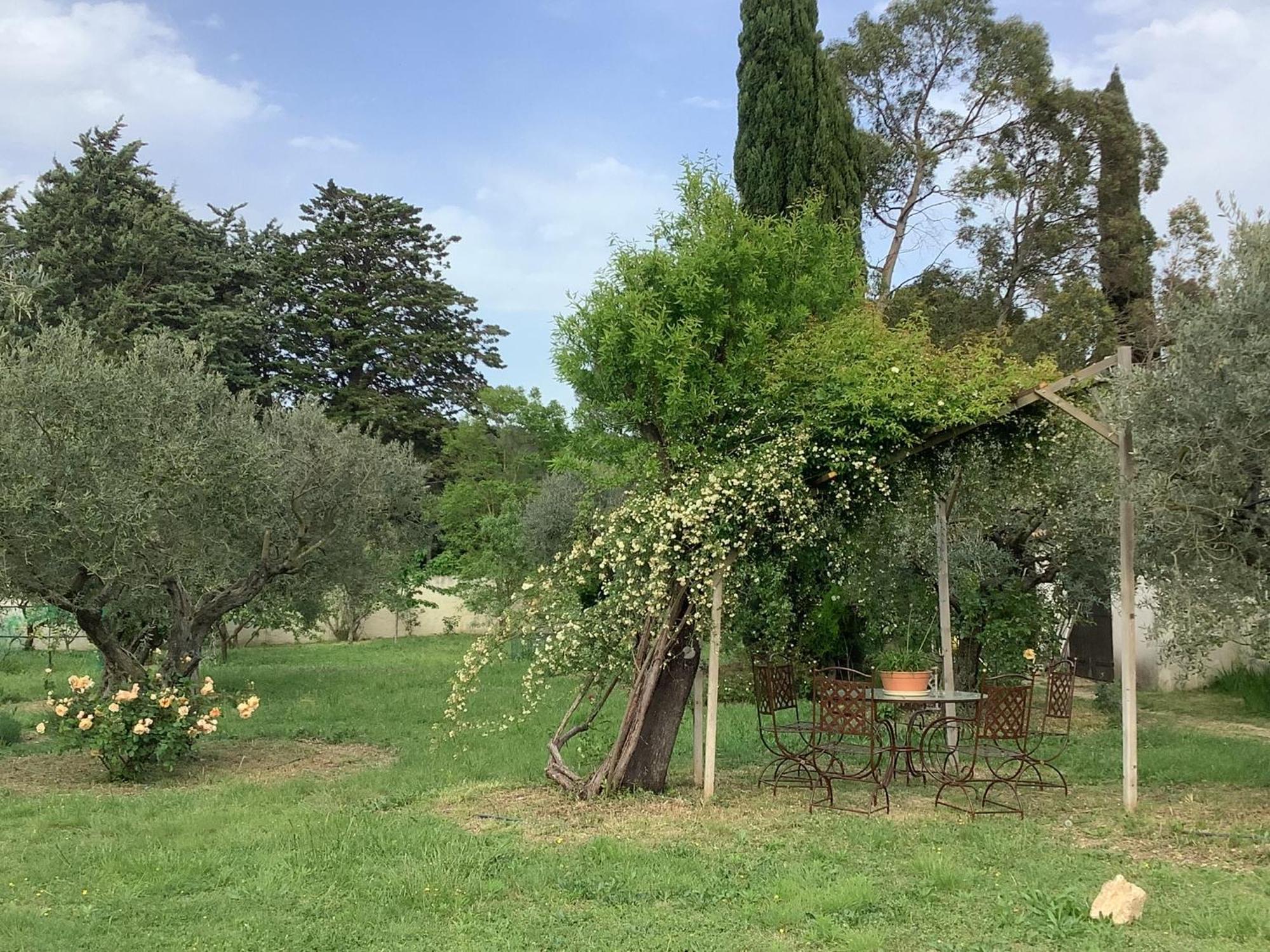 Le Mas Des Oliviers Martigues Buitenkant foto