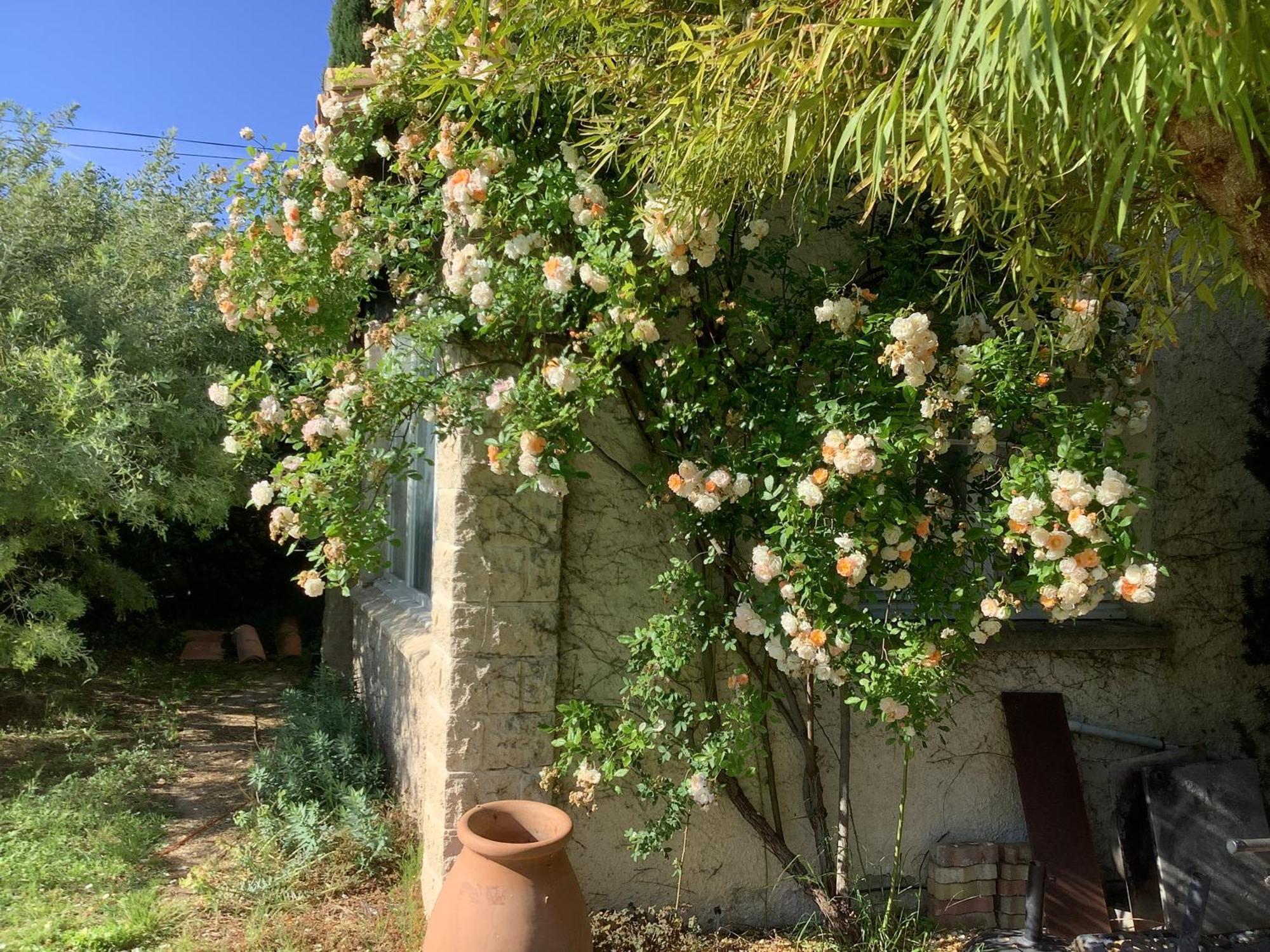 Le Mas Des Oliviers Martigues Buitenkant foto